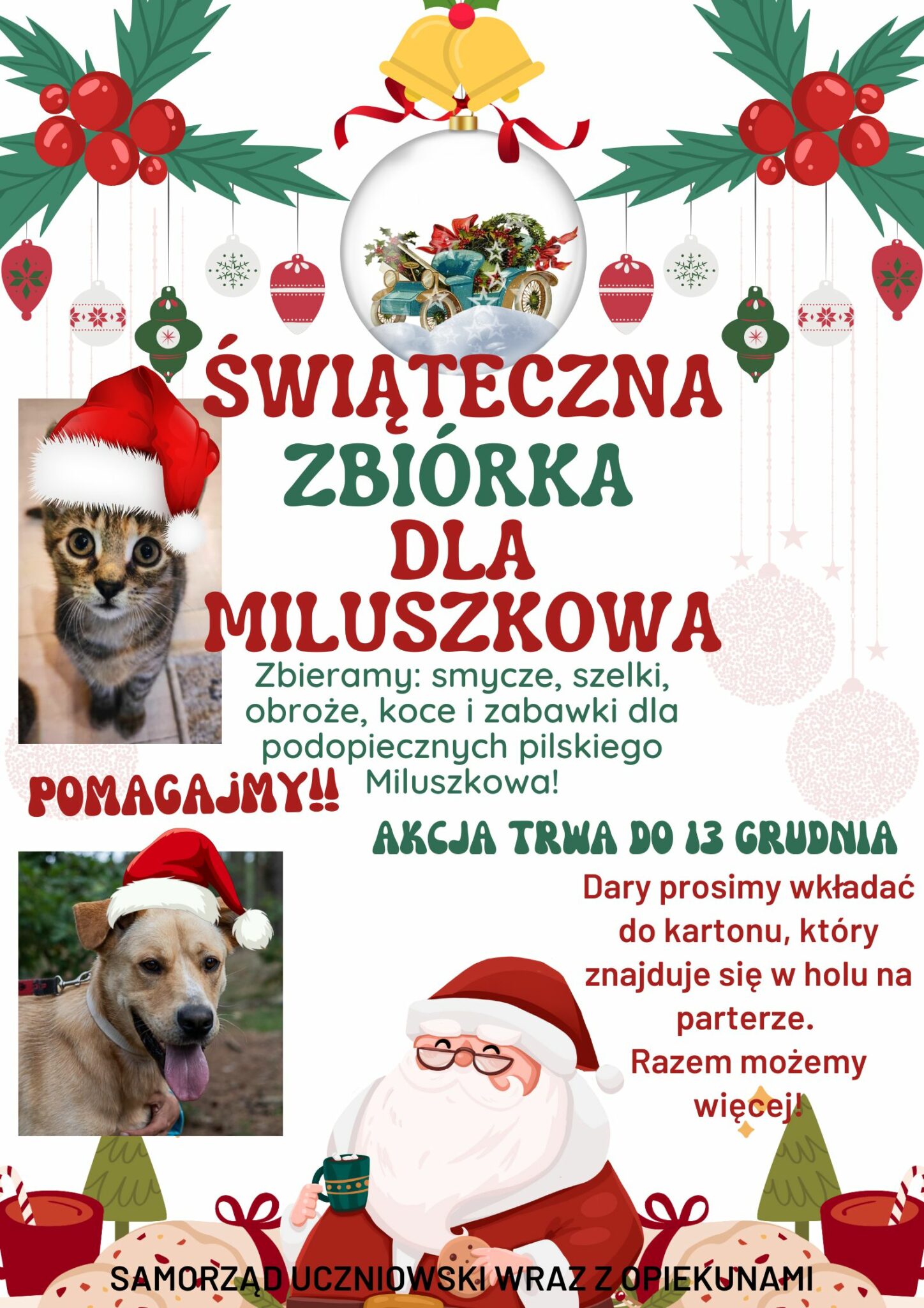 ŚWIĄTECZNA ZBIÓRKA DLA MILUSZKOWA1